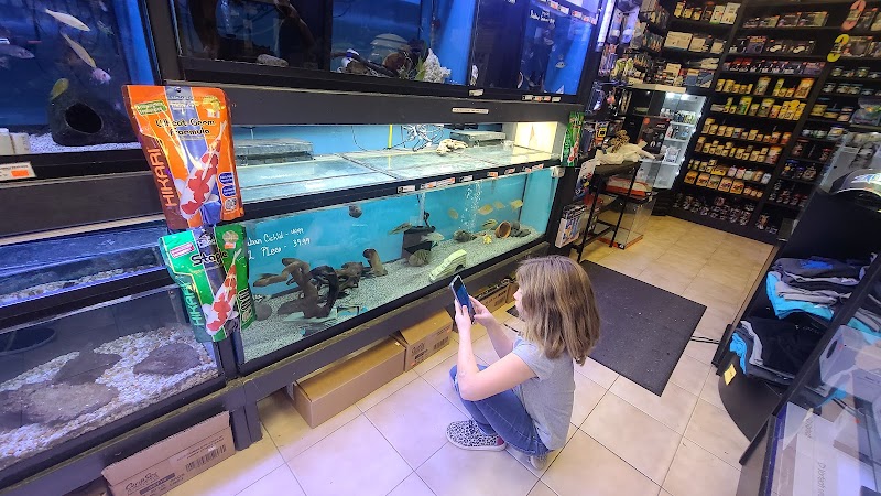 C-MACS Aquarium - CLT - Photo 2