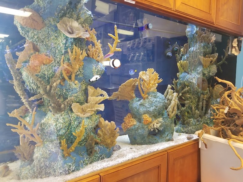 C-MACS Aquarium - CLT - Photo 5