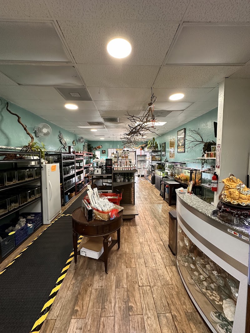 The Chlorophyll Corner - Mesa, AZ - Photo 3