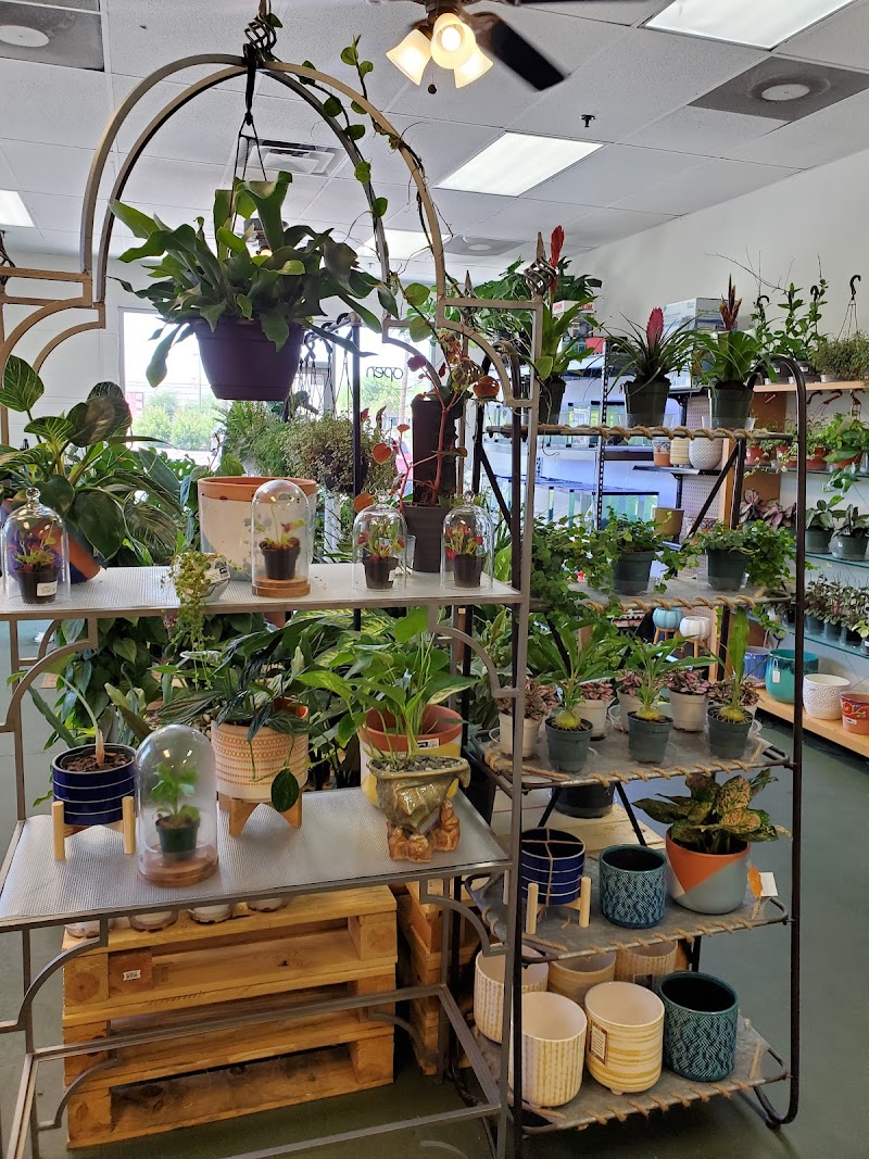 The Chlorophyll Corner - Mesa, AZ - Photo 4