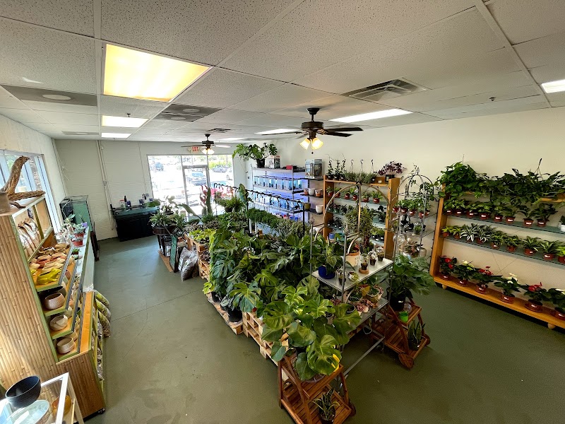 The Chlorophyll Corner - Mesa, AZ - Photo 5