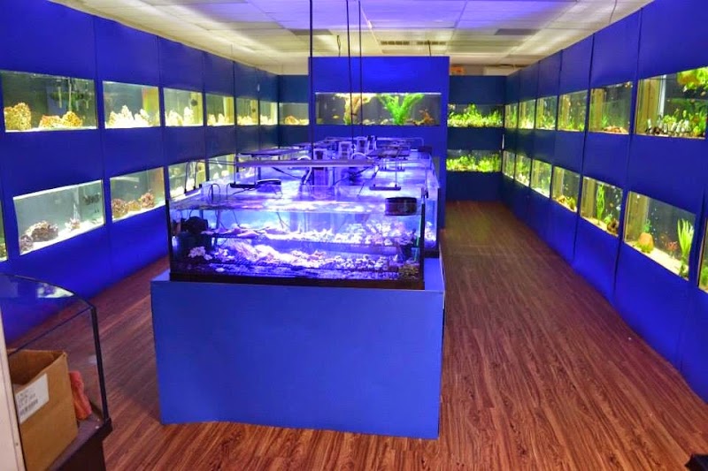 Upscale Aquatics - Photo 2