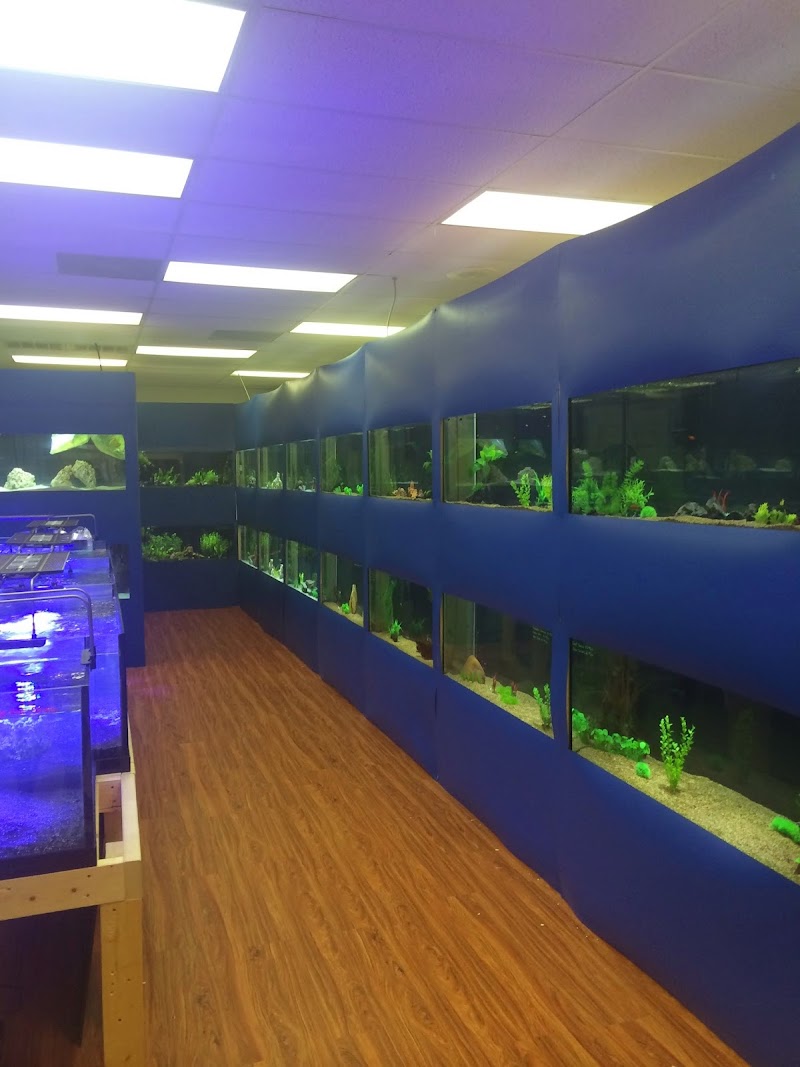 Upscale Aquatics - Photo 5