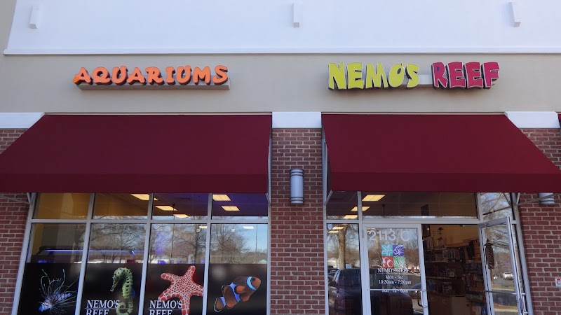 Nemo's Reef - Photo 1