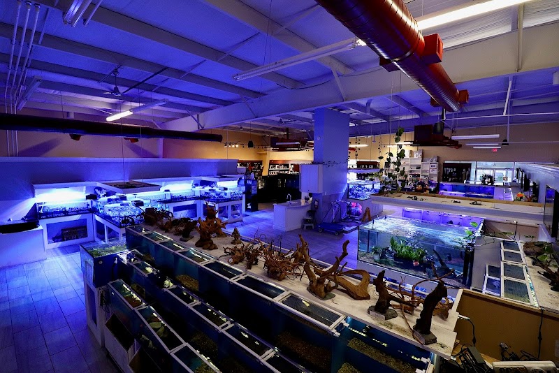 Nemo's Reef - Photo 2