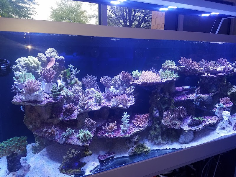 Nemo's Reef - Photo 3