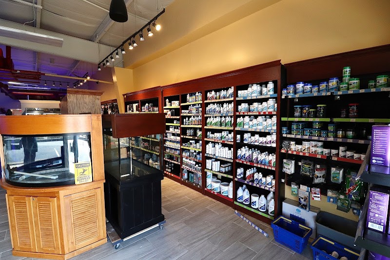 Nemo's Reef - Photo 4