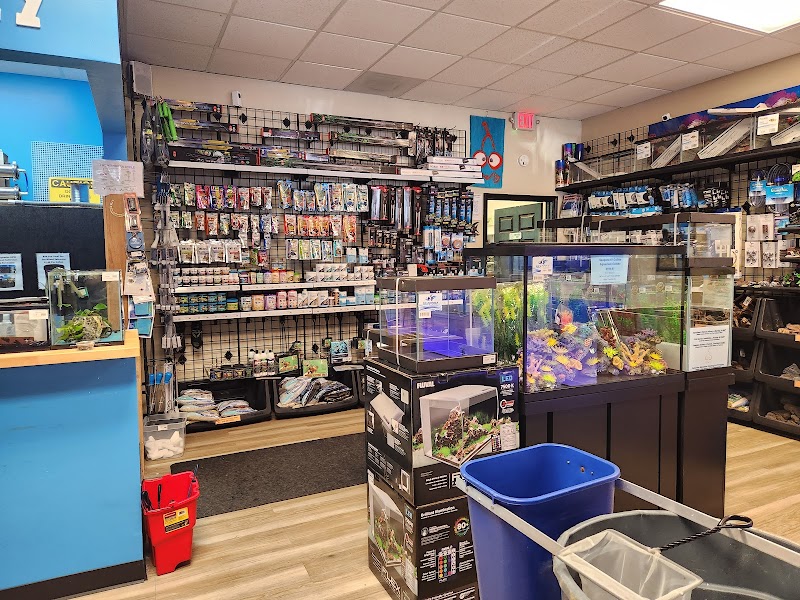 The Fish Room of Charlotte - Photo 2