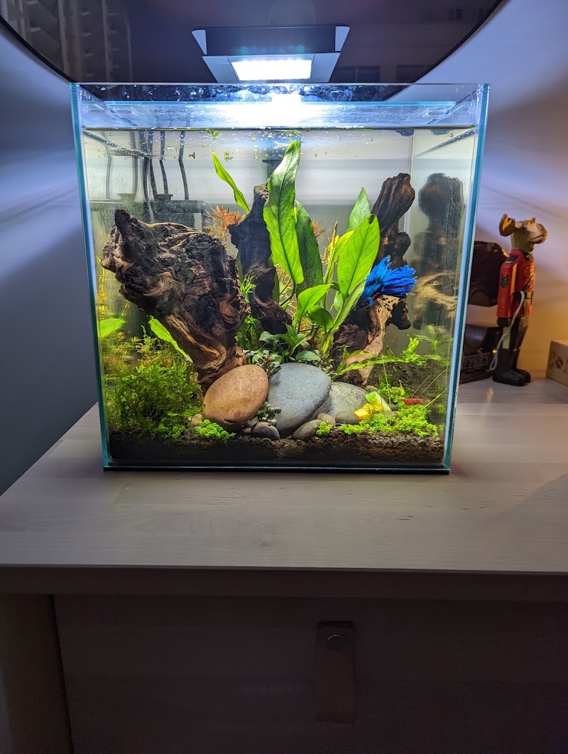 The Fish Room of Charlotte - Photo 3