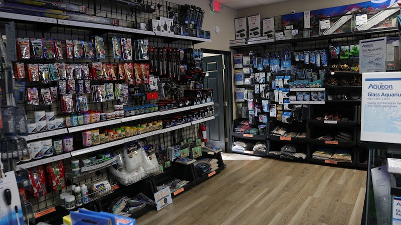 The Fish Room of Charlotte - Photo 5