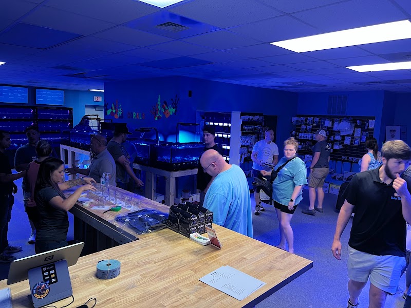 Under The Sea Aquarium Marketplace - Photo 3