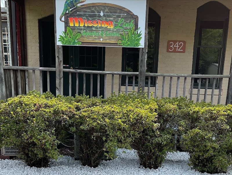 Missing Link Aquatics & Exotics - Photo 1