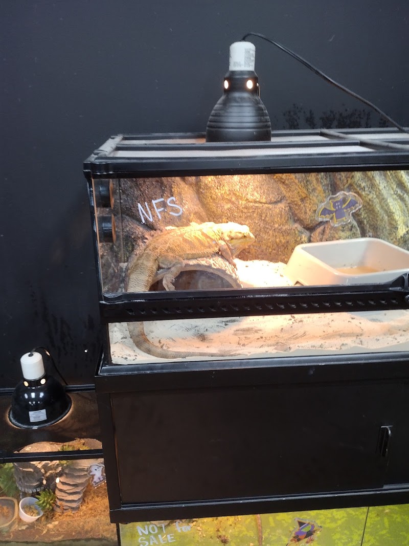 Missing Link Aquatics & Exotics - Photo 2