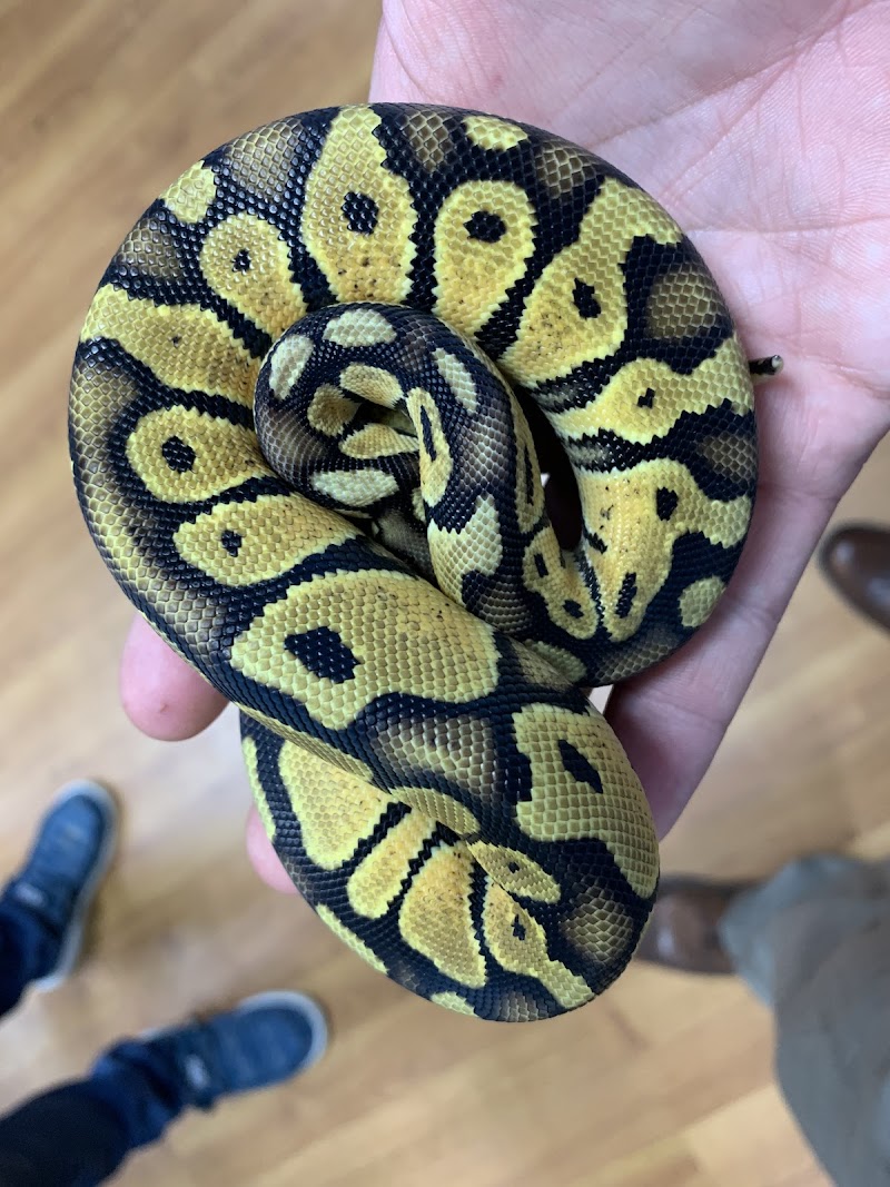 Missing Link Aquatics & Exotics - Photo 5