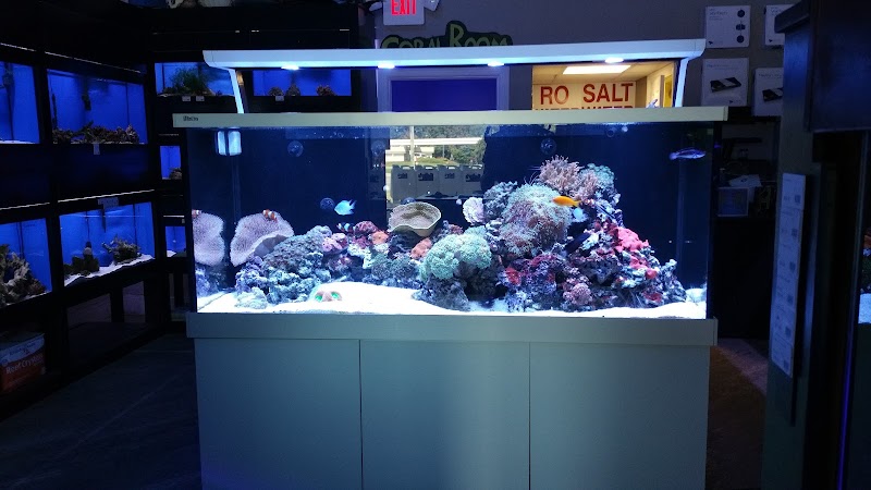 Salty's of Lake Norman - Photo 5