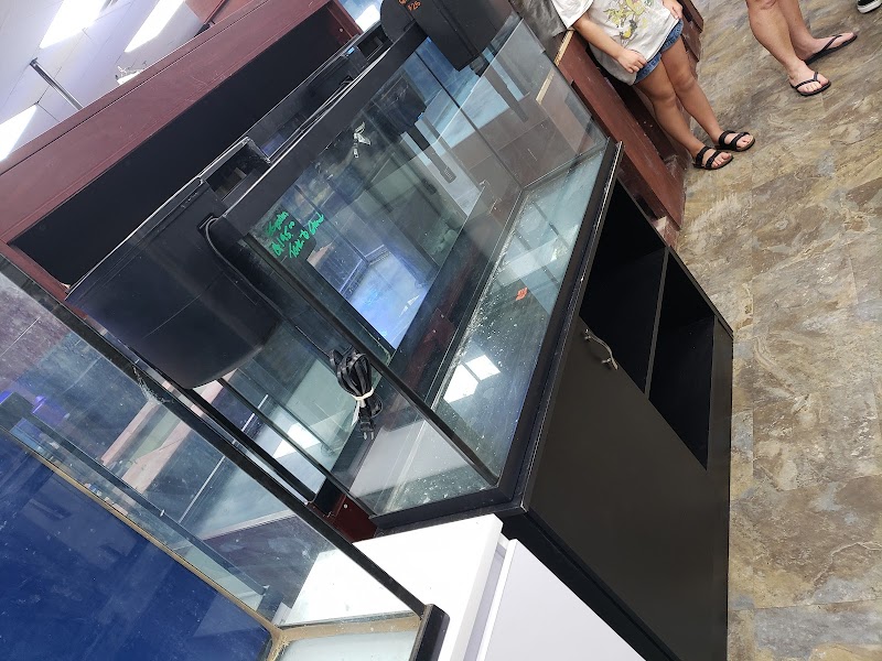 Discount Aquarium Fish and Reef - Photo 1