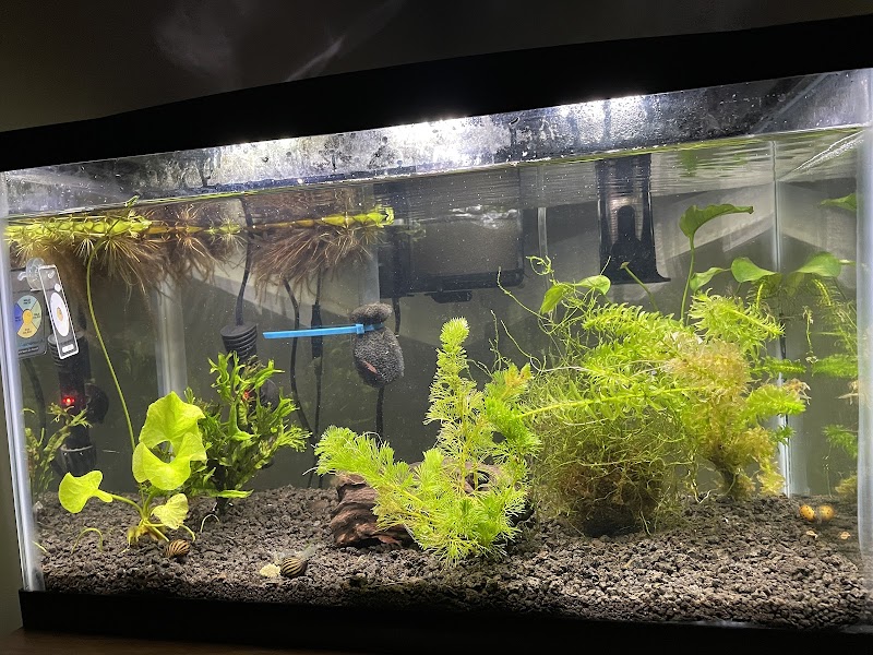 Fin-Tastic Fish & Pets - Photo 3