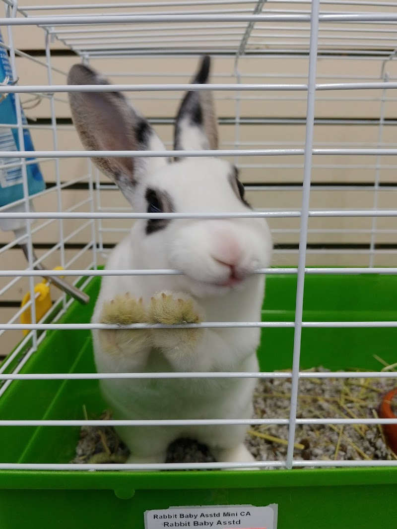 Fin-Tastic Fish & Pets - Photo 4