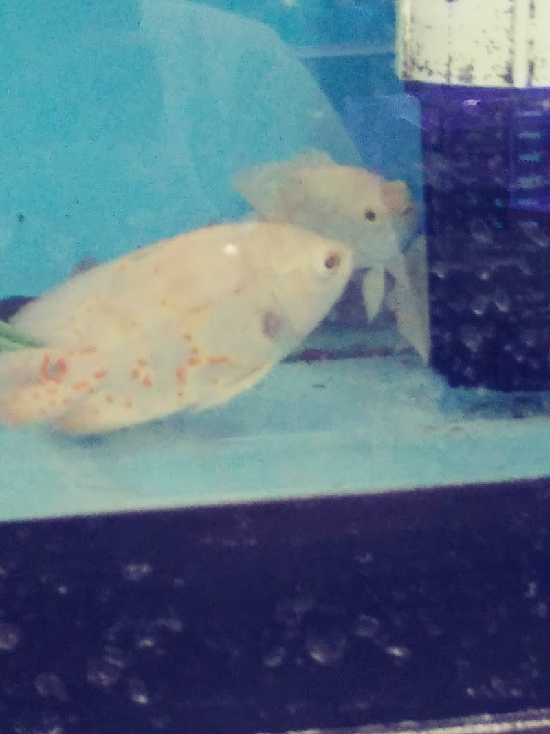 Fin-Tastic Fish & Pets - Photo 5