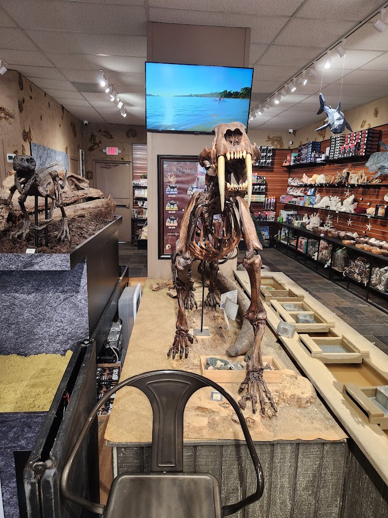 Aquarium Arts - Photo 2