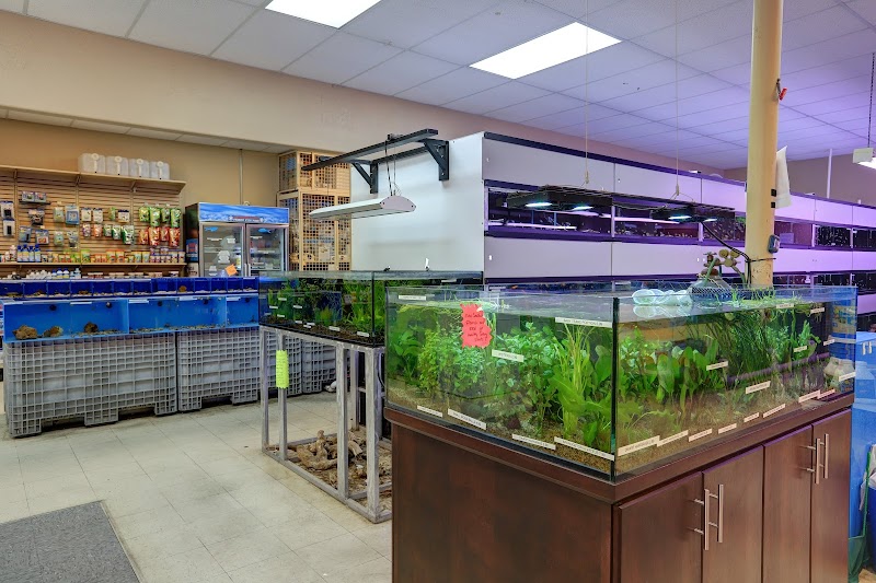 Aquarium Arts - Photo 5