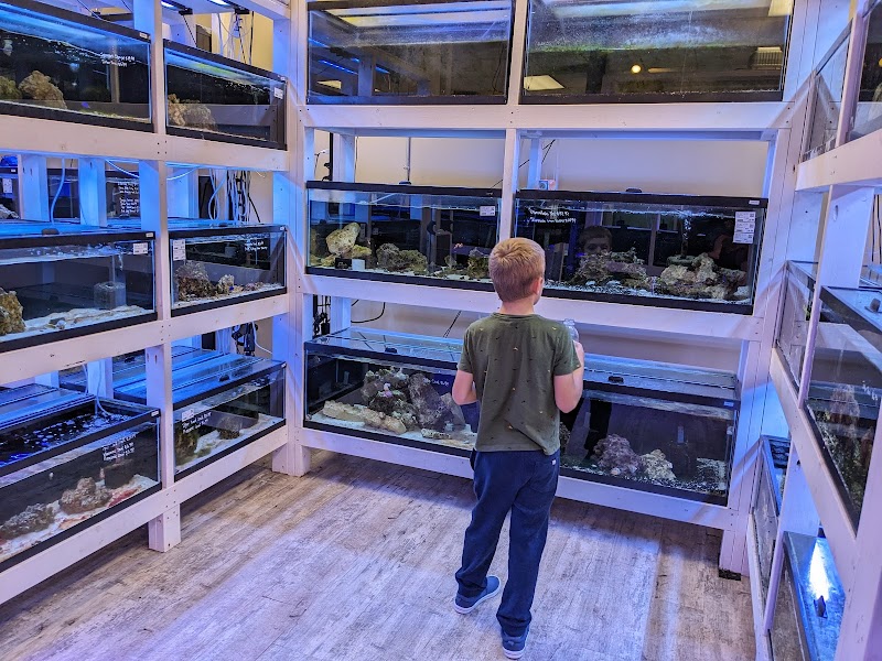 River and Reef Aquatics - Photo 3