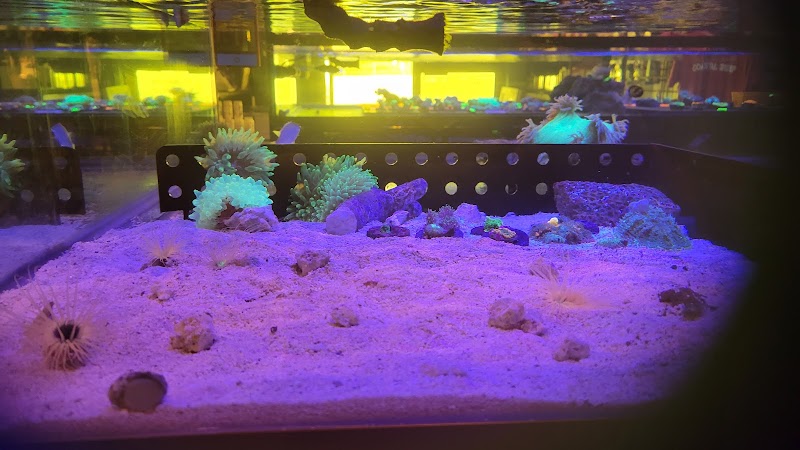 Coastal Reef Aquariums - Photo 2