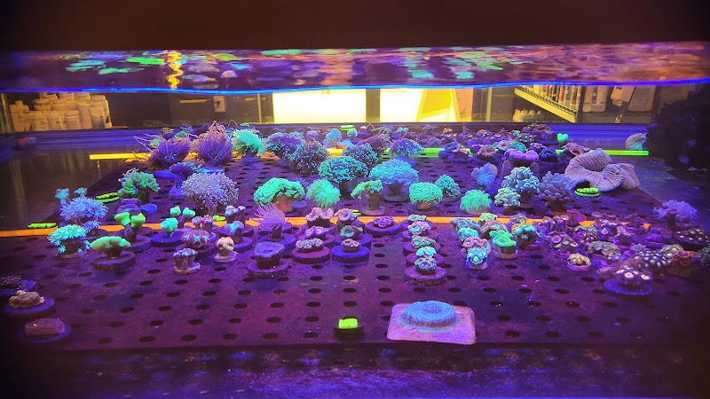 Coastal Reef Aquariums - Photo 4