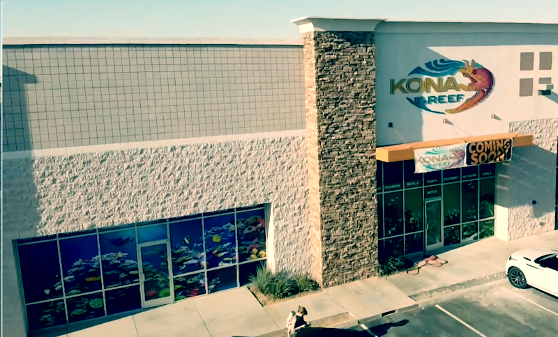 Kona Reef Az - Chandler - Photo 1