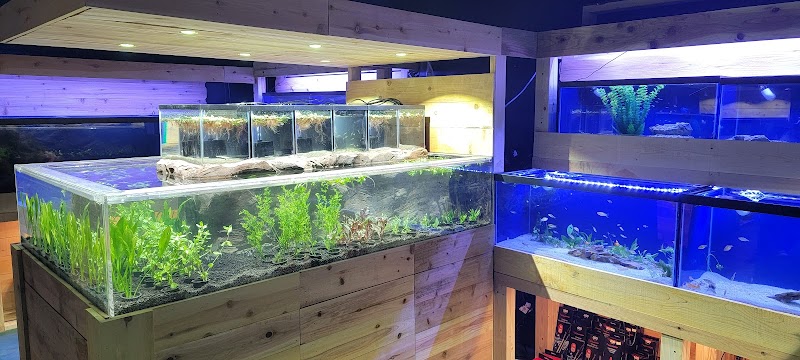 Kona Reef Az - Chandler - Photo 2