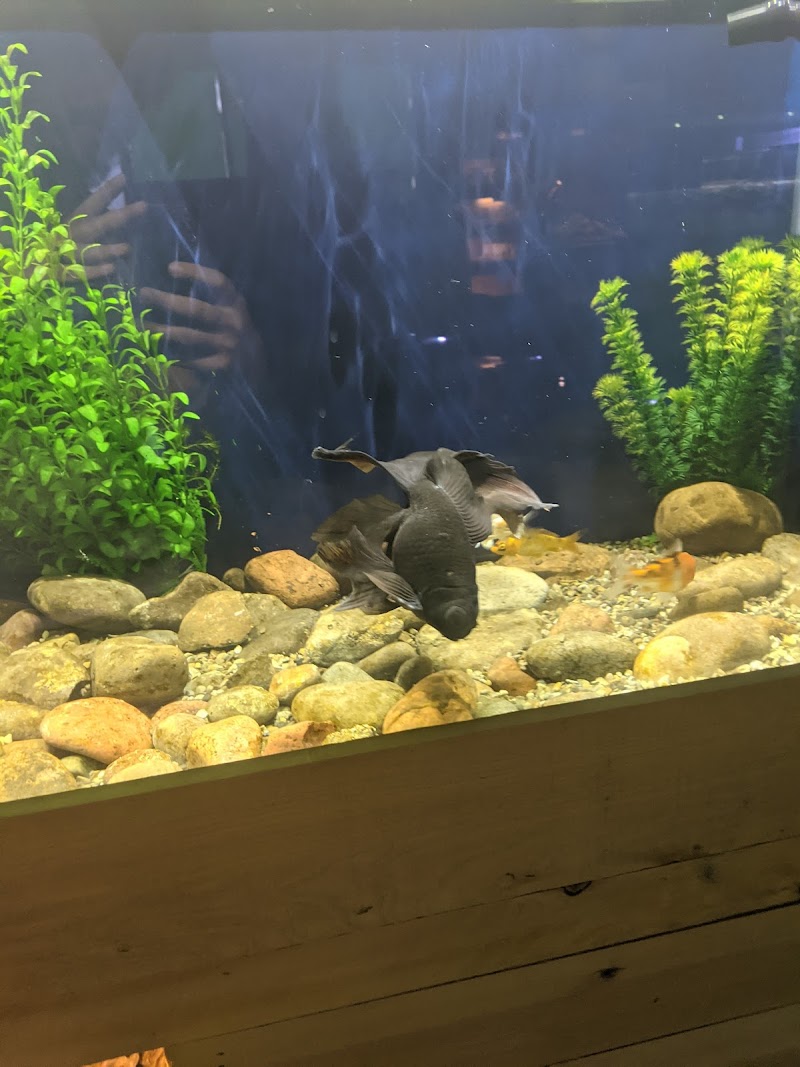 Kona Reef Az - Chandler - Photo 4