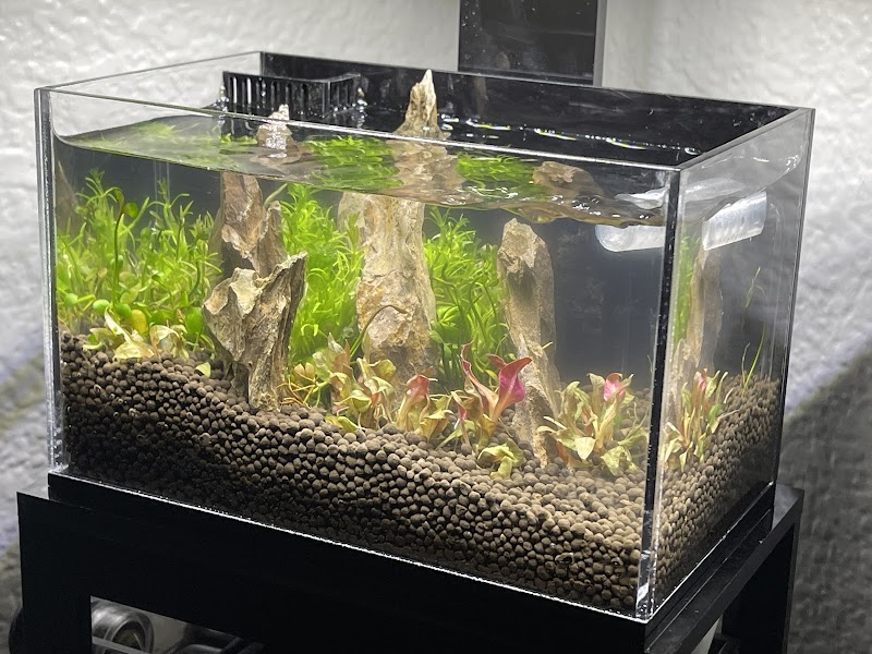 Kona Reef Az - Chandler - Photo 5