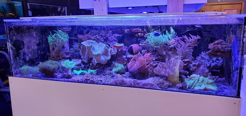 Oceans Paradise - Photo 5