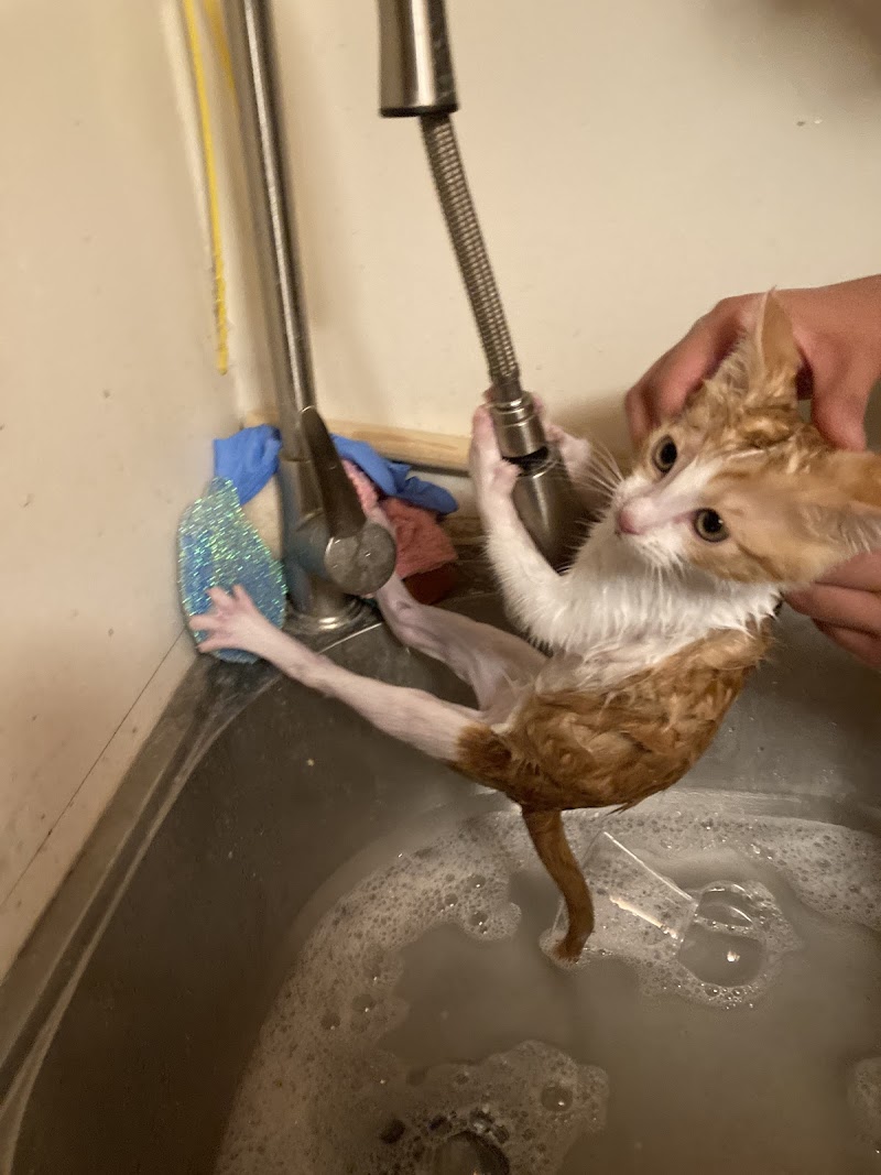 K T Animal Supply - Photo 5