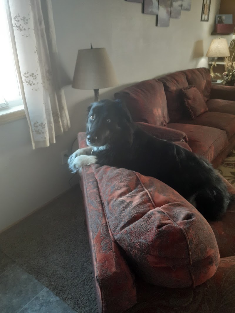 Paw & Claw Pet Palace - Photo 1