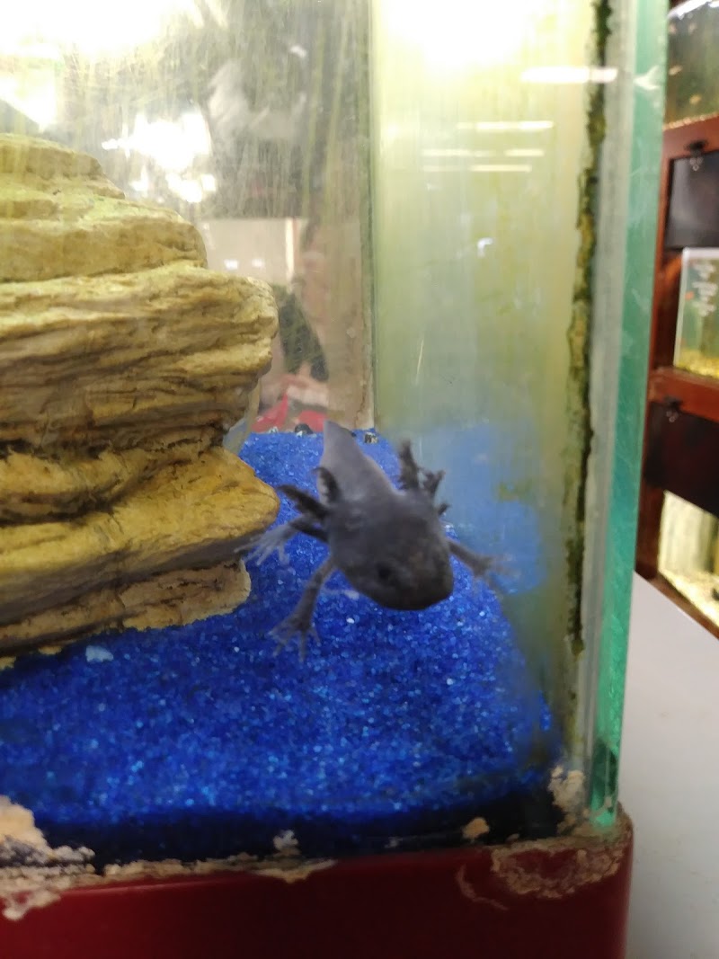 Paw & Claw Pet Palace - Photo 2