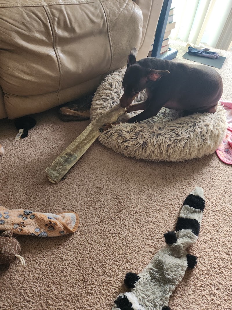 Woofta Pet Shop - Photo 3