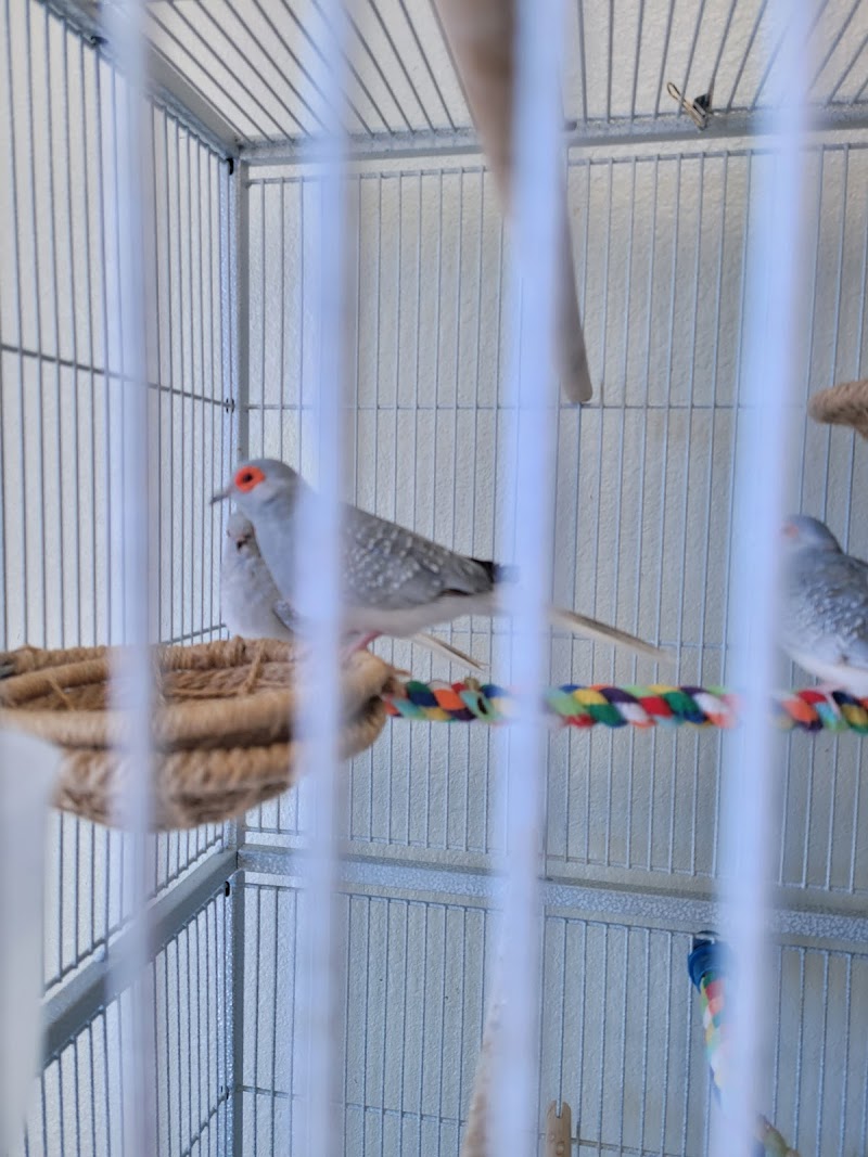 Paw Prints & Fish Tails - Photo 3