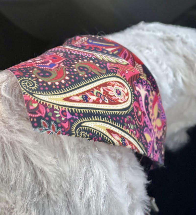 Paw Prints & Fish Tails - Photo 4