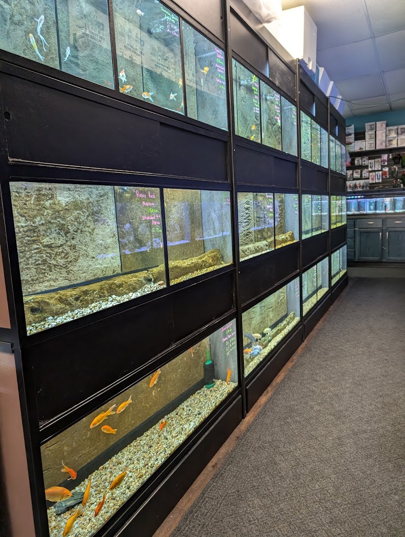 Aquatic Adventures - Photo 2