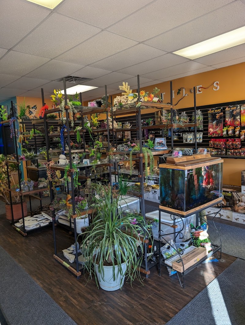 Aquatic Adventures - Photo 4