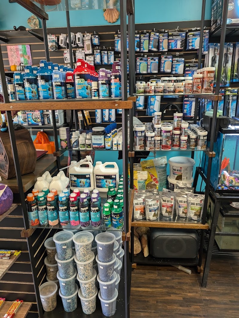 Aquatic Adventures - Photo 5