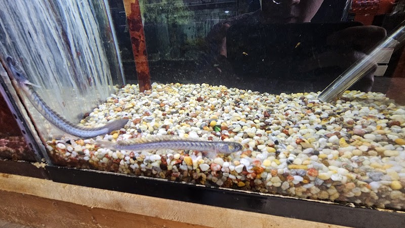 Fish World - Photo 1