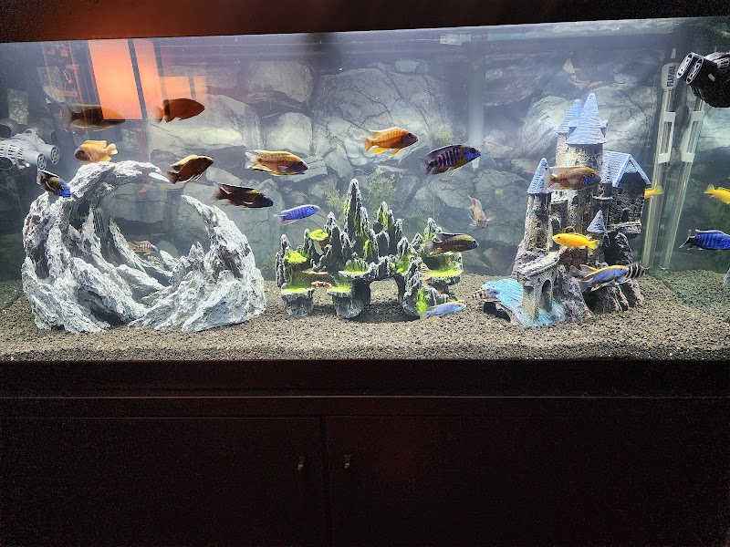 Fish World - Photo 2