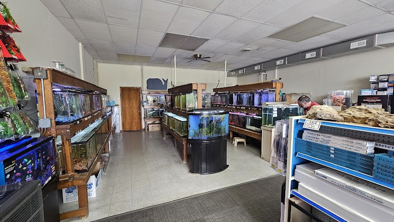Fish World - Photo 3