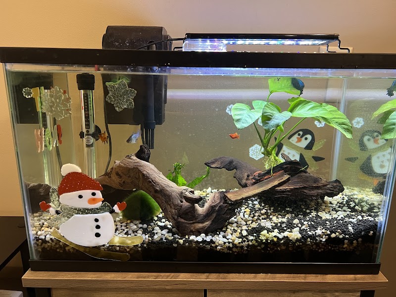 Fish World - Photo 4