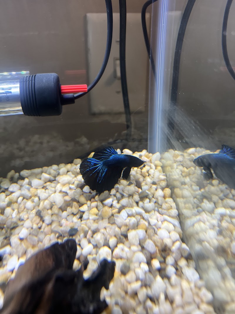 Fish World - Photo 5