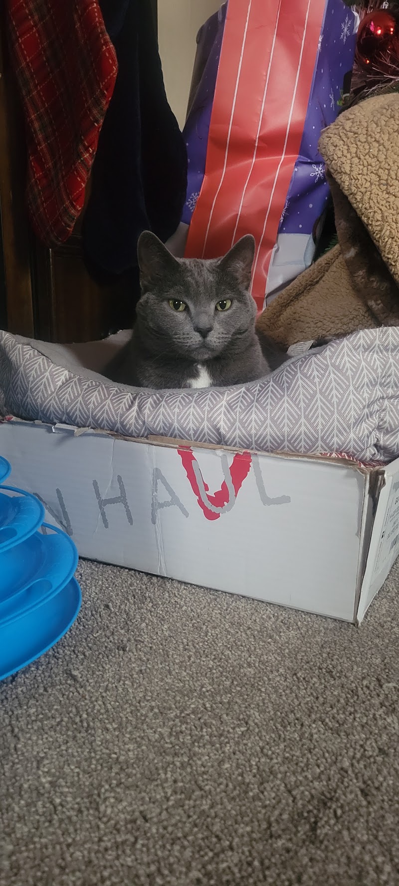 Heartland Pet Connection - Photo 2