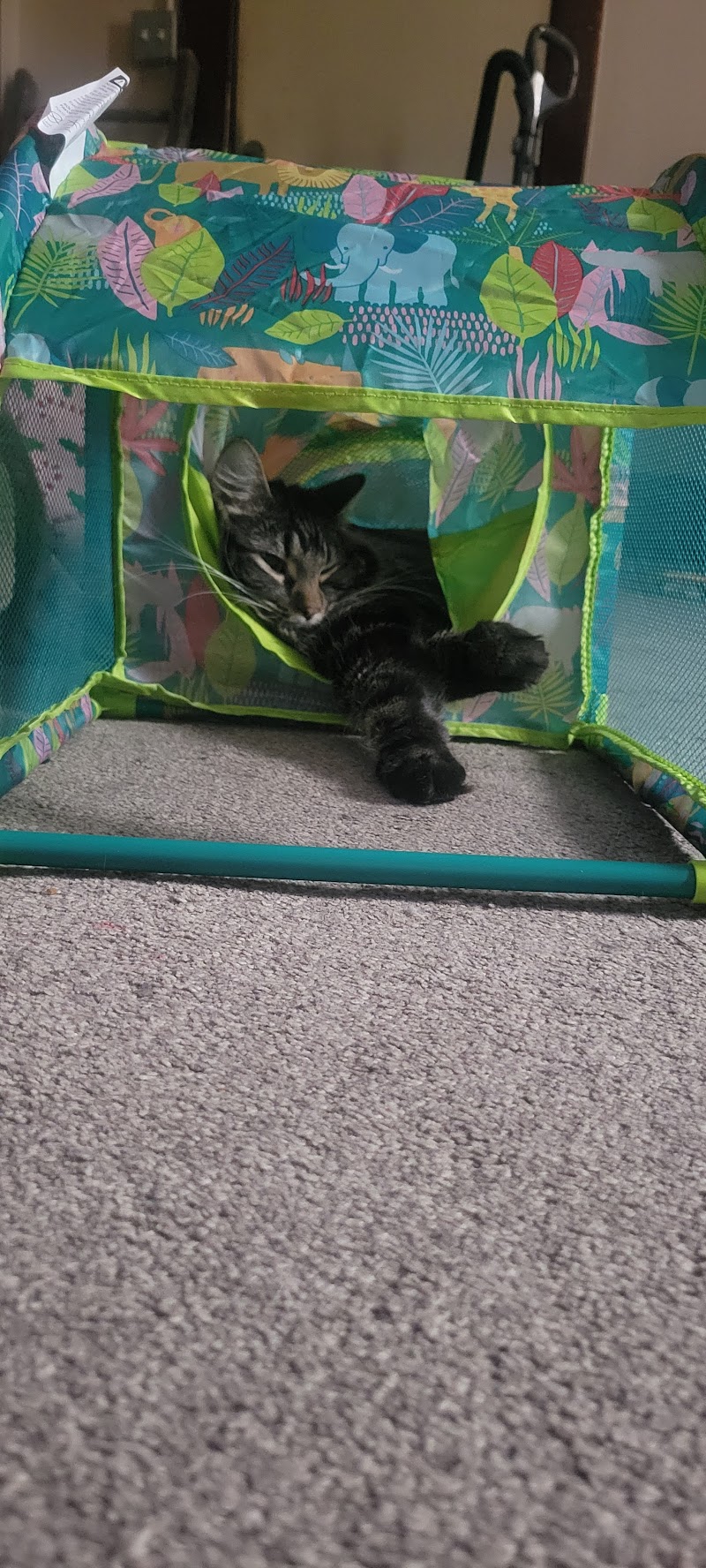 Heartland Pet Connection - Photo 4