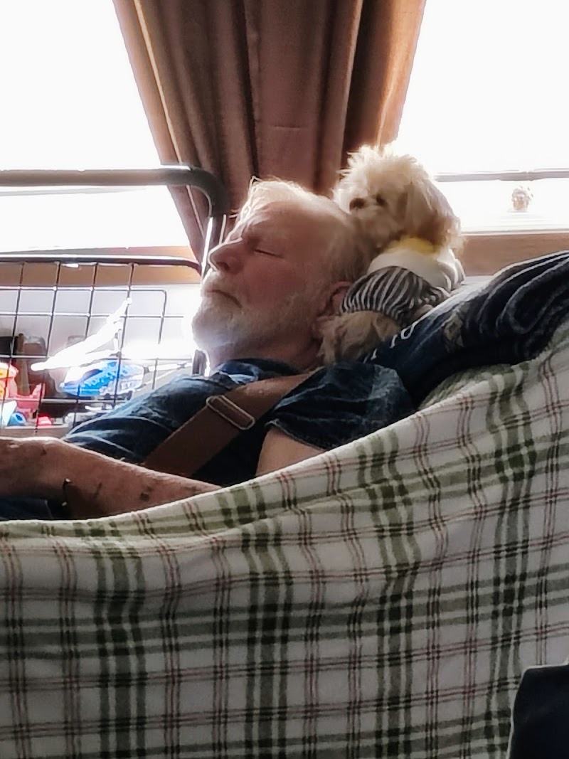 Puppy -Shop - Photo 2